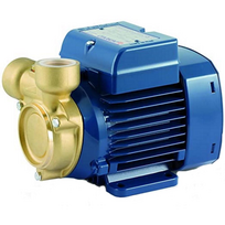 Vandens tiekimo siurblys Pedrollo PQ 60-Bs 0,37 kW 380 V 50 Hz