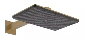 Dušo galvutė Hansgrohe Raindance Alive Q, 21x34 cm, 2 režimai, EcoSmart, matinė bronza, 24551140