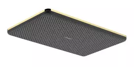 Dušo galva Hansgrohe Raindance Alive Q, 21x34 cm, poliruota auksinė, 24530990 NEW