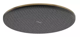 Dušo galva Hansgrohe Raindance Alive S, diametras 30 cm, EcoSmart+, matinė bronza, 24523140 NEW