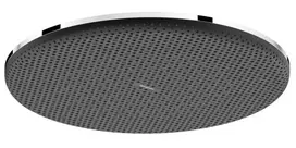 Dušo galva Hansgrohe Raindance Alive S, 30 cm, EcoSmart+, chromas, 24523000 NEW