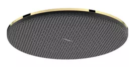 Dušo galva Hansgrohe Raindance Alive S, 30 cm, EcoSmart+, poliruota auksinė, 24523990 NEW