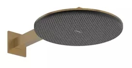 Dušo galvutė Hansgrohe Raindance Alive S, diametras 30 cm, 2 režimai, matinė bronza, 24540140 NEW