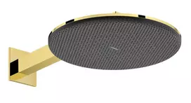 Dušo galva Hansgrohe Raindance Alive S, 30 cm skersmuo, 2 režimai, poliruota auksinė, 24540990 NEW