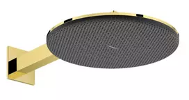 Dušo galva Hansgrohe Raindance Alive S, skersmuo 30 cm, 2 režimai, EcoSmart, poliruota auksinė, 24541990 NEW