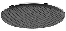 Dušo galva Hansgrohe Raindance Alive S, skersmuo 30 cm, chromas, 24520000 NEW