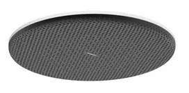 Dušo galva Hansgrohe Raindance Alive S, skersmuo 30 cm, matinė balta, 24520700 NEW