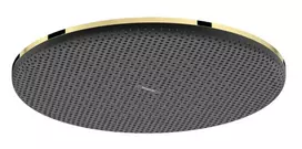 Dušo galva Hansgrohe Raindance Alive S, diametras 30 cm, poliruota auksinė, 24520990 NEW