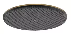 Dušo galva Hansgrohe Raindance Alive S 30 cm EcoSmart matinė bronza 24521140 NEW
