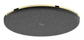 Dušo galva Hansgrohe Raindance Alive S, skersmuo 30 cm, EcoSmart, poliruota auksinė, 24521990 NEW