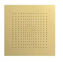 Dušo galva Hansgrohe Raindance E, 40x40 cm, EcoSmart, poliruotas auksas, 26253990 NEW