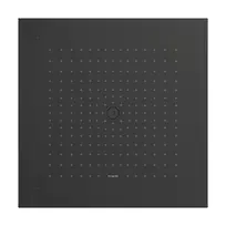 Dušo galva Hansgrohe Raindance E, 40x40 cm, matinė juoda chromas, 26252340 NEW