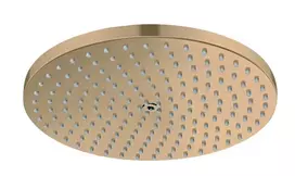 Dušo galva Hansgrohe Raindance S 24 cm matinė bronza 27623140