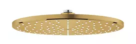 Dušo galvutė Grohe Rainshower SmartActive, diametras 31 cm, matinė Cool Sunrise, 26569GN0