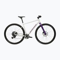 Gravel dviratis KROSS Esker 1.0 FL grey/purple/gloss