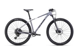 Dviratis Rascal 1.0 29"