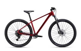 Dviratis Rambler 2.0 29"