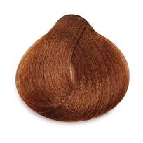 VERACOLOR Ammonia Free Hair Color with Argan Oil, 6.5