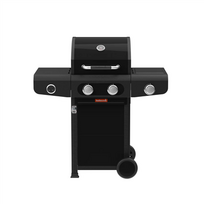 Dujinis grilis Barbecook Siesta 210 Graphite BC-GAS-2071