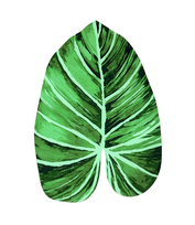 Vonios kilimėlis „Leaf mat“ (58x88 cm)