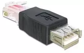 Delock Adapteris USB lizdas > RJ45 kištukas