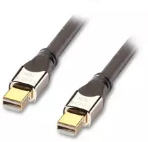 Kabelis Lindy Rodyti Port mini - DisplayPort mini 2m sidabro (41542)