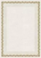 Galeria Papieru Popierius diplomams,laiškams 170g A4 25l Argo Arcady Gold