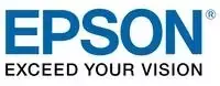 Epson T8872 (C13T887200) Rašalinė kasetė, Žydra