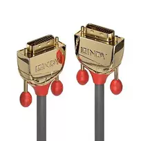 DVI Kabelis - LINDY Gold Line DVI-D Dual Link Kabelis, M/M, 2560x1600 60Hz, 1 m