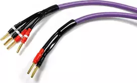 Melodika Bananinis kabelis x2 - Bananas x4 5m violetinis