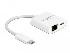 Delock DeLOCK USB- C adapteris > Gigabit LAN + PC - LAN 10 / 100 / 1000Mbps su maitinimo tiekimu (65402) - RDUA9P59