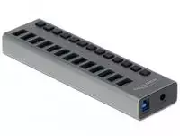 Delock External SuperSpeed USB Hub su 13 prievadų + jungikliu