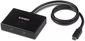 USB jungiklis - LINDY 2 Port USB 3.2 Gen 1 Type C Switch 5Gbps