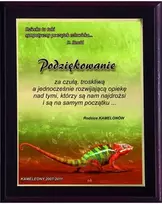 Victoria Sport Diplomas pagamintas iš plastiko su spalvotu laminatu