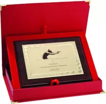 Victoria Sport Plastikiniai diplomai su išgraviruotu metalo lakštu + dėklas