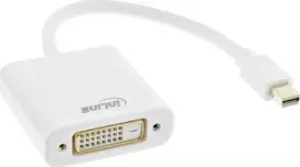 AV adapteris InLine Rodyti Port Mini - DVI- D balta (17194K)