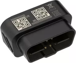 FMB003 2G TELTONIKA OBD GPS SEKLYS, Serveris : Serveris (metinis mokestis) +12 Eur, SIM kortelė: Nepridėti