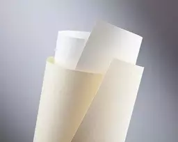 Galeria Papieru Dekoratyvinis popierius LAID A4 kreminis 120g 50lap