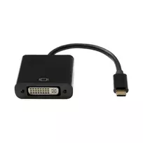 ProXtend AV USB-C (M) į DVI-I 24+5 (F) adapteris, juodas 10 cm