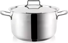 Orion Puodas plienas ANETT 20 cm, 3 l su dangčiu
