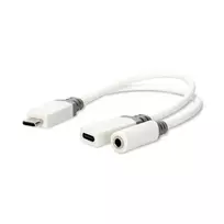 Nedis USB-C™ Adapteris | USB 2.0 | USB-C™ Stecker USB-C™ Buchse / 3.5 mm Buchse | 0.10 m | Rund | Vergoldet | PVC | Weiss | Box