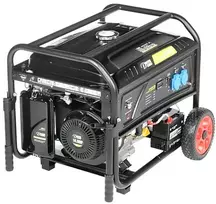 Delta Dynamo GENERATORIAUS DY-6020/PRO 5000 W Dinamo