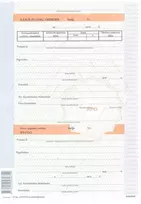 Kasos pajamų orderis, A4, 100 lapų, numeruotas