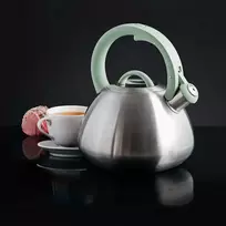 Virdulys Foster 3 l mėtų spalvos AMBITION
