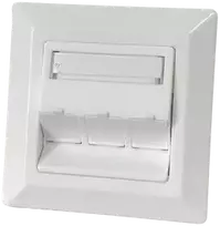 3xRJ45 įleidžiamas adapteris su ALANTEC apsaugos nuo dulkių