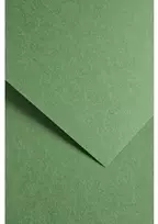 Galeria Papieru Dekoratyvinis popierius EARTH A4 žalias 220g 20lap
