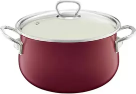 Emaliuotas puodas su dangteliu Pyza 20 cm bordo EMALIA OLKUSZ