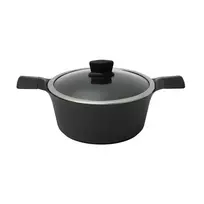 Indukcinis puodas su dangčiu Zyle ZY3024PT Ø24 cm, 4l
