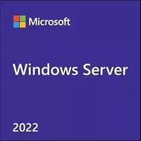 „Dell Rok Win SVR 2022“ kalibruotas 10 clt vartotojas