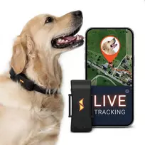 PAJ GPS šunų sekimo įrenginys su GPS, 4G, IP67 atsparus vandeniui, LED diodas, baterija iki 10 dienų, PET Finder 4G